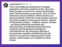 Angelina Jolie supports Palestine.