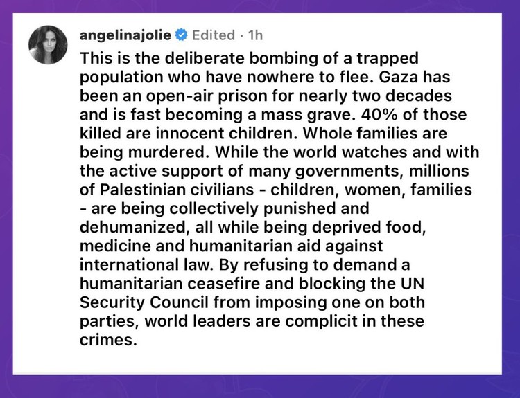 Angelina Jolie supports Palestine.