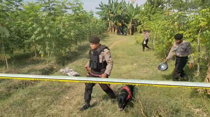 Anjing pelacak ke lokasi TKP begal Pasutri Probolinggo