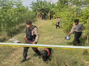 Anjing Pelacak Dikerahkan Ungkap Begal Pasutri Tewaskan Suami di Probolinggo