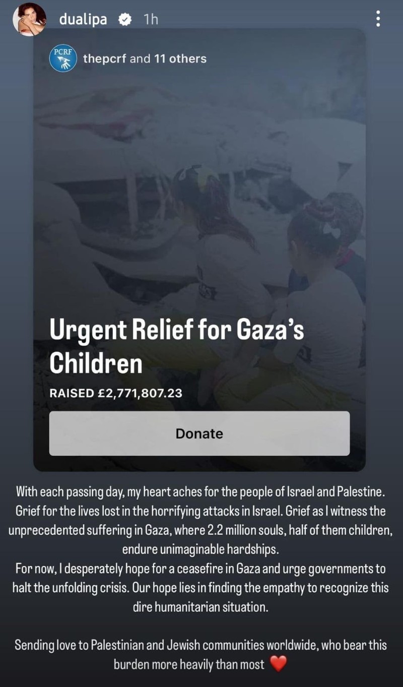 Seleb yang dukung Palestina.