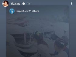 Para Selebriti Hollywood Pembela Palestina dan Viral di Medsos