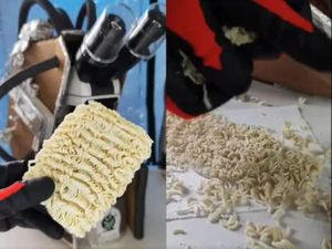 Heboh! Penampakan Organisme Hidup pada Mie Instan Dilihat dari Mikroskop