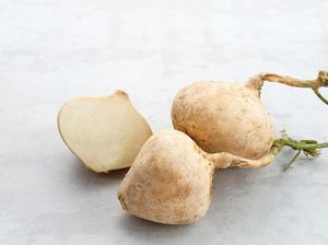 6 Manfaat Buah Bengkoang yang Jarang Diketahui