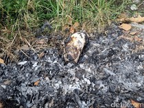 Penampakan Mentok Pemicu Laka Maut Ibu dan Anak di Bantul