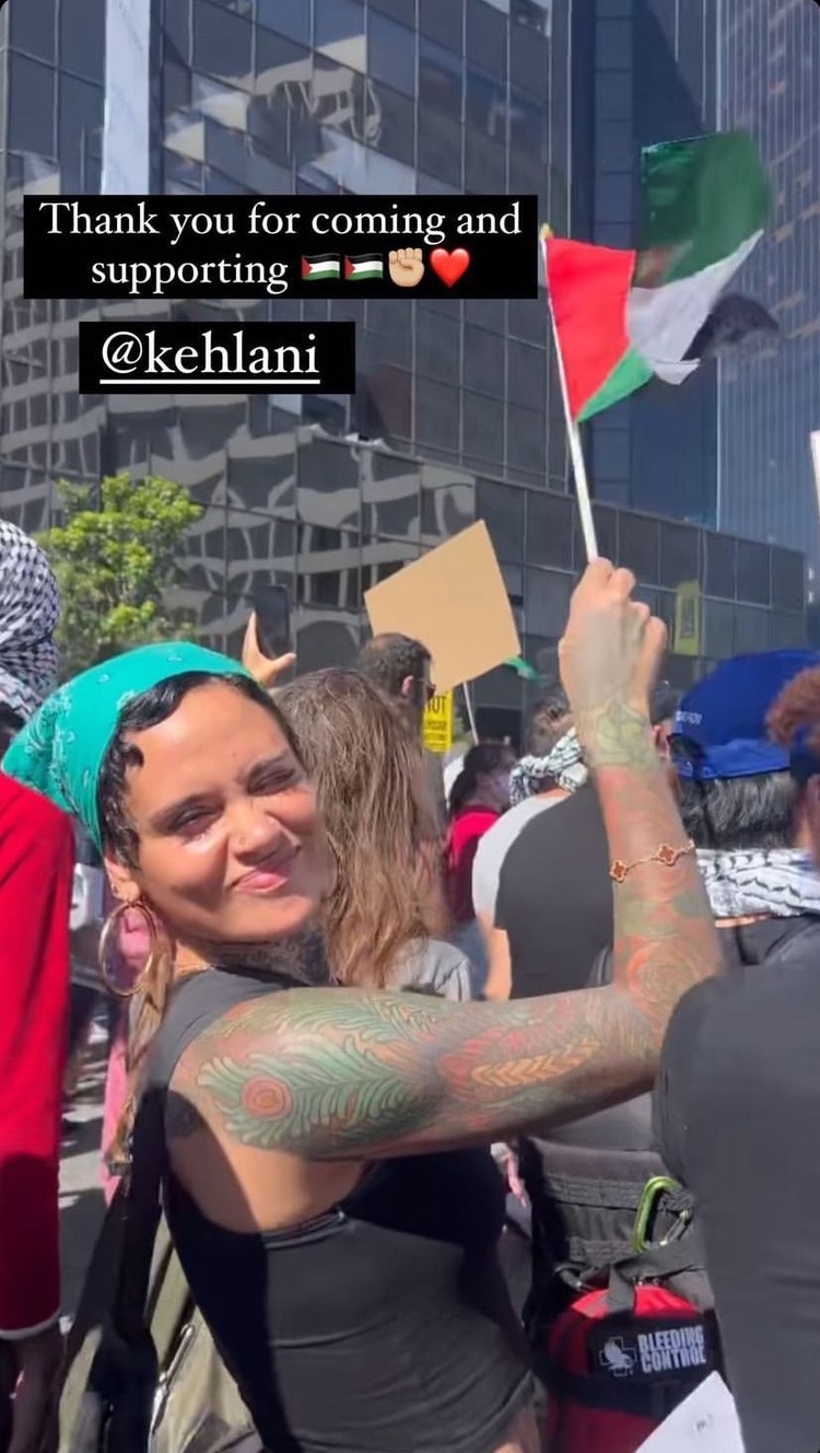 Selebriti yang mendukung Palestina.