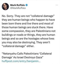 Selebriti yang mendukung Palestina.