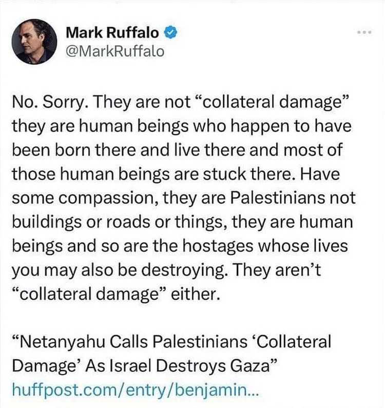 Selebriti yang mendukung Palestina.