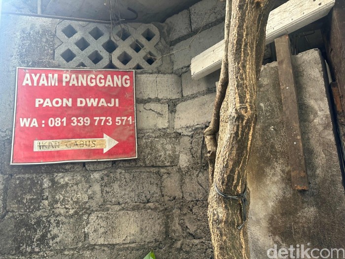 Paon Dwaji: Sensasi Makan 'B2 Guling' Bebek Peking yang Dimarinasi 24 Jam Paon Dwaji: Sensasi Makan 'B2 Guling' Bebek Peking yang Dimarinasi 24 Jam