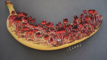 Sketsa jamur. Foto: Stephan Brusche