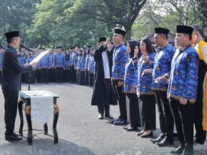 Pendaftaran CPNS Kemenhub 2024 Dibuka, Ini Formasi dan Syarat Daftarnya!