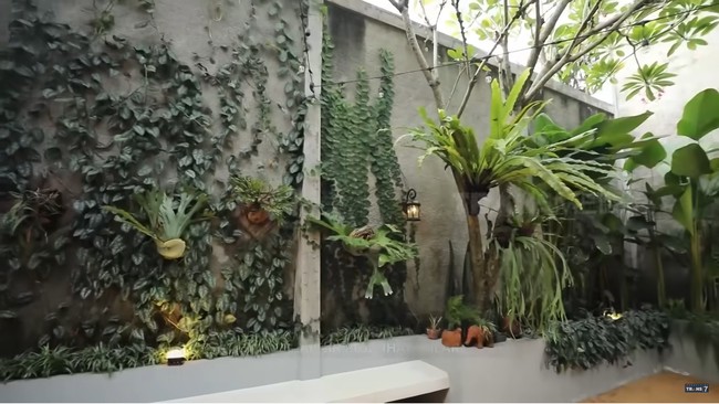 Berbagai tumbuhan tropis menghiasi halaman rumah Asri. Tak sekadar menambah estetika, tapi juga menciptakan nuansa yang asri dan segar. (Foto: YouTube/Trans7 Official)