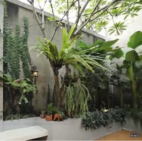 Berbagai tumbuhan tropis menghiasi halaman rumah Asri. Tak sekadar menambah estetika, tapi juga menciptakan nuansa yang asri dan segar. (Foto: YouTube/Trans7 Official)