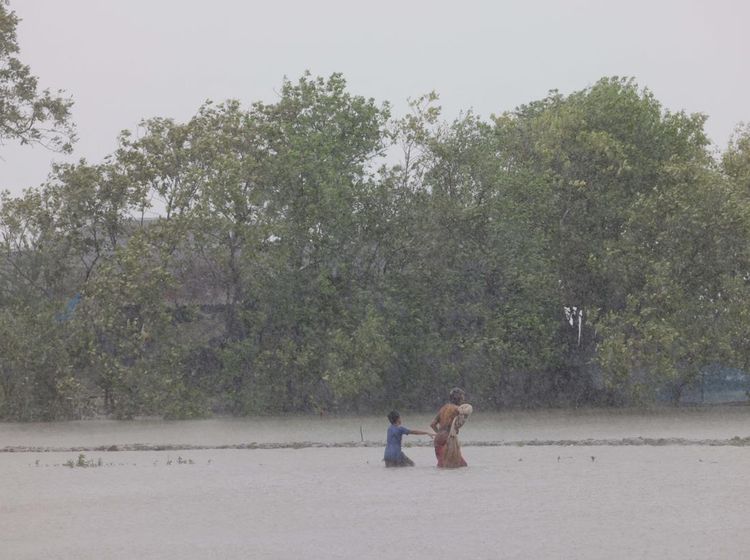 Topan Remal Menerjang Bangladesh, Pohon hingga Tiang Listrik Tumbang