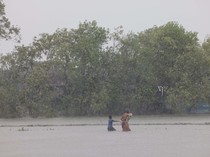 Topan Remal Menerjang Bangladesh, Pohon hingga Tiang Listrik Tumbang