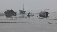 Angin kencang dan hujan deras melanda wilayah pesisir Bangladesh dan India ketika topan besar Remal melanda pada Minggu (26/5) malam.  
