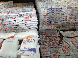 Bos Baru Bulog Pede Bisa Serap 3 Juta Ton Beras dalam 3 Bulan