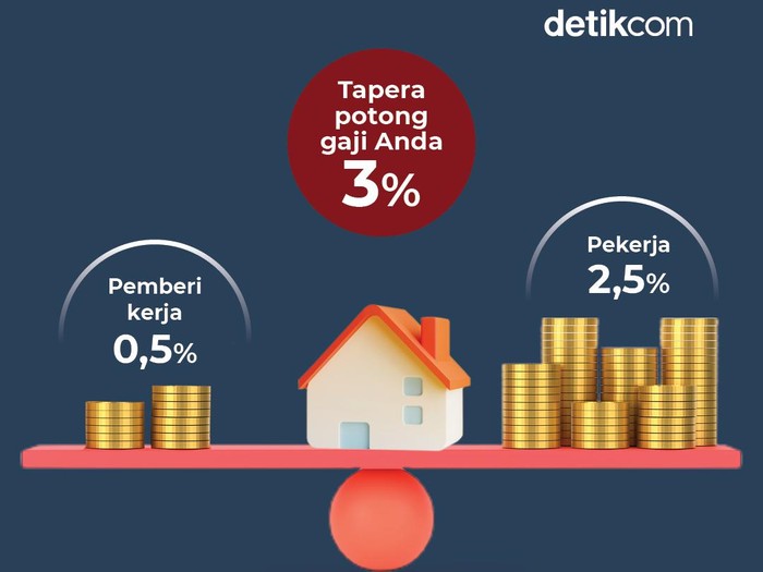 Infografis Tapera (Infografis Fuad Hasim, naskah Danu Damarjati/detikcom)