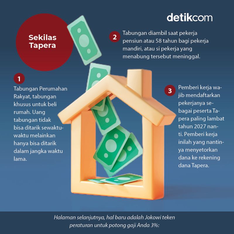 Infografis Tapera (Infografis Fuad Hasim, naskah Danu Damarjati/detikcom)