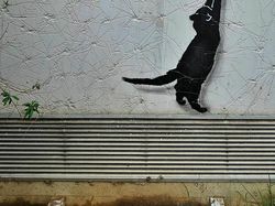 Ketika Imajinasi Bisa Menyulap Jalan Biasa Menjadi Super Keren