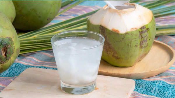 Kelapa muda