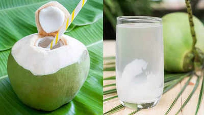 Kelapa muda