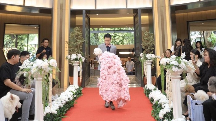 Melihat tren hobi memelihara anjing dengan fashion glamornya.