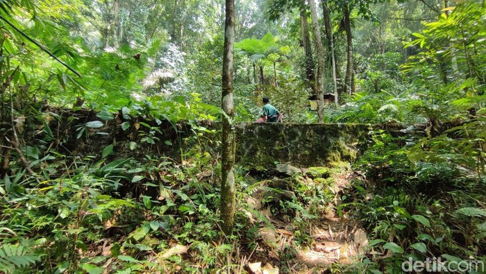 Penampakan Benteng Gunung Sawal pembatas hutan di Ciamis