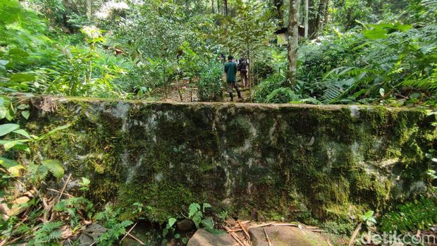 Penampakan tembok panjang 12 kilometer di atas Gunung Sawal untuk membatasi satwa liar masuk ke permukiman warga.