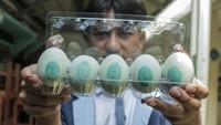 Lihat Lebih Dekat Produksi Telur Asin di Pesantren