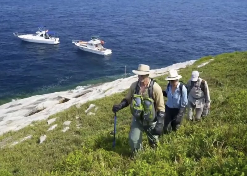 Pulau ular di Brasil