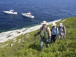 Potret Pulau Ular Misterius, Terlarang Karena Berbahaya