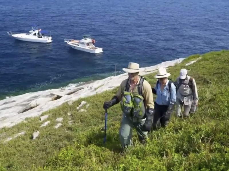 Pulau ular di Brasil
