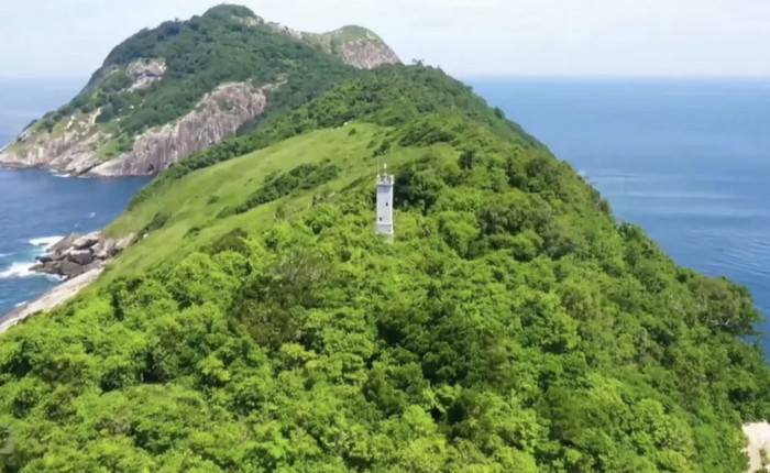Pulau ular di Brasil