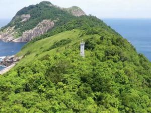 Potret Pulau Ular Misterius, Terlarang Karena Berbahaya