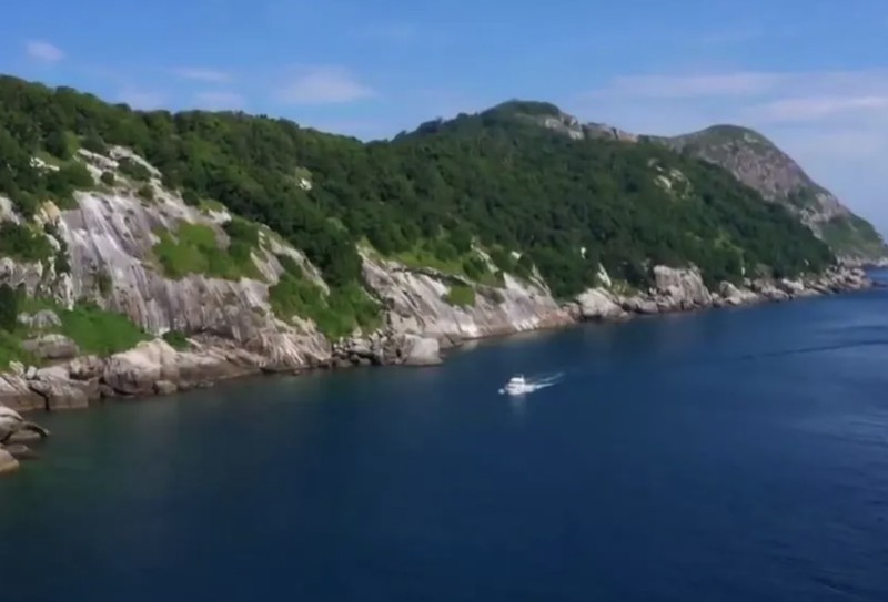 Pulau ular di Brasil