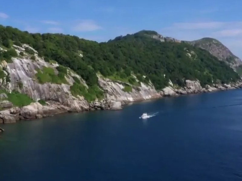 Pulau ular di Brasil