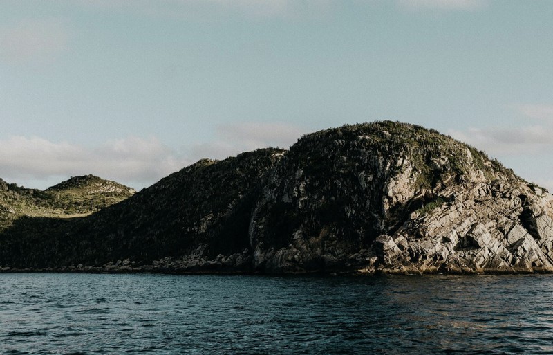 Pulau ular di Brasil