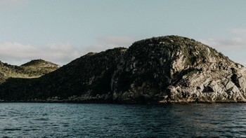 Pemburu liar juga kadang datang ke pulau itu untuk menangkap ular dan mengambil racunnya, yang sangat berharga di pasar gelap. Para ilmuwan berpendapat jumlah ular ini berkurang sebagian karena perdagangan ilegal, tetapi juga karena penyakit dan perkawinan sedarah. Foto: Skratch