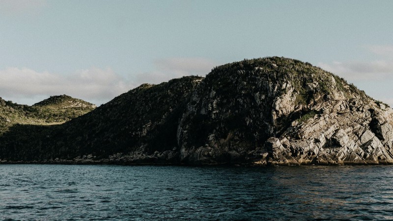 Pulau ular di Brasil
