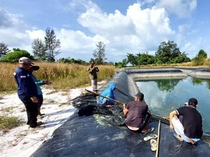 Operasional Tambak Udang di Basel yang Cemari Pantai Jibur Disetop