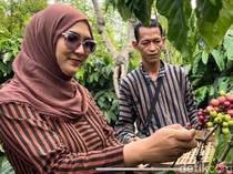 Melihat Desa Bangelan Malang Penghasil 260 Ton Kopi Sejak Zaman Belanda