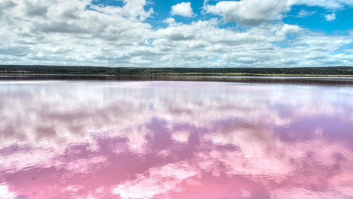 Danau pink di Hutt Lagoon, Port Gregory, Western Australia.
 

Hutt Lagoon near Port Gregory, WA.