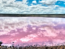 Danau Ini Berwarna Merah Muda Alami, Apa Sebabnya?