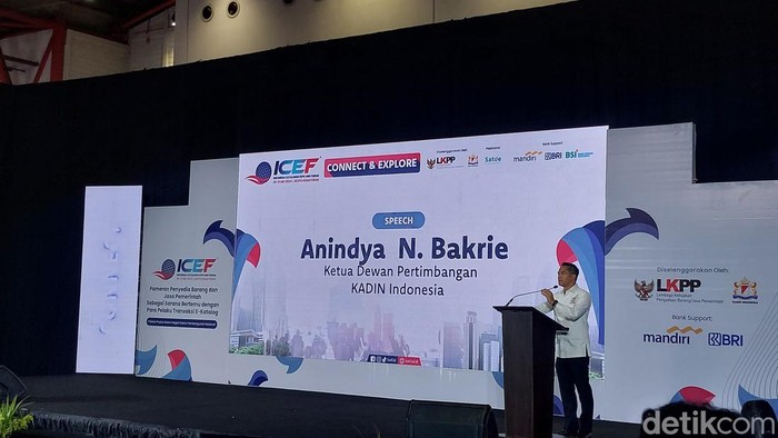 Ketua Dewan Pertimbangan Kadin Indonesia, Anindya Bakrie