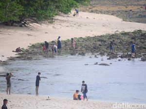 Kerusakan Terumbu Karang di Pangandaran Kian Parah