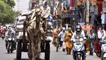 Panas Terik Berminggu-minggu Memanggang India Utara