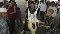 Kegiatan yang diikuti 80 pengurus mesjid dan panitia kurban tersebut dilakukan untuk memberi pemahaman tentang cara penyembelihan yang sesuai dengan aturan medis dan syariat Islam.