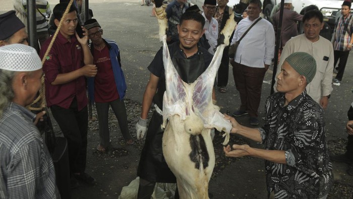 Petugas Dinas Ketahanan Pangan, Pertanian dan Perikanan Kota Sukabumi memberikan pelatihan penyembelihan hewan kurban di Islamic Centre Kota Sukabumi, Jawa Barat, Rabu (29/5/2024). Kegiatan yang diikuti 80 pengurus mesjid dan panitia kurban tersebut dilakukan untuk memberi pemahaman tentang cara penyembelihan yang sesuai dengan aturan medis dan syariat Islam. ANTARA FOTO/Henry Purba/agr/wpa.