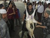 Intip Pelatihan Penyembelihan Hewan Kurban di Sukabumi